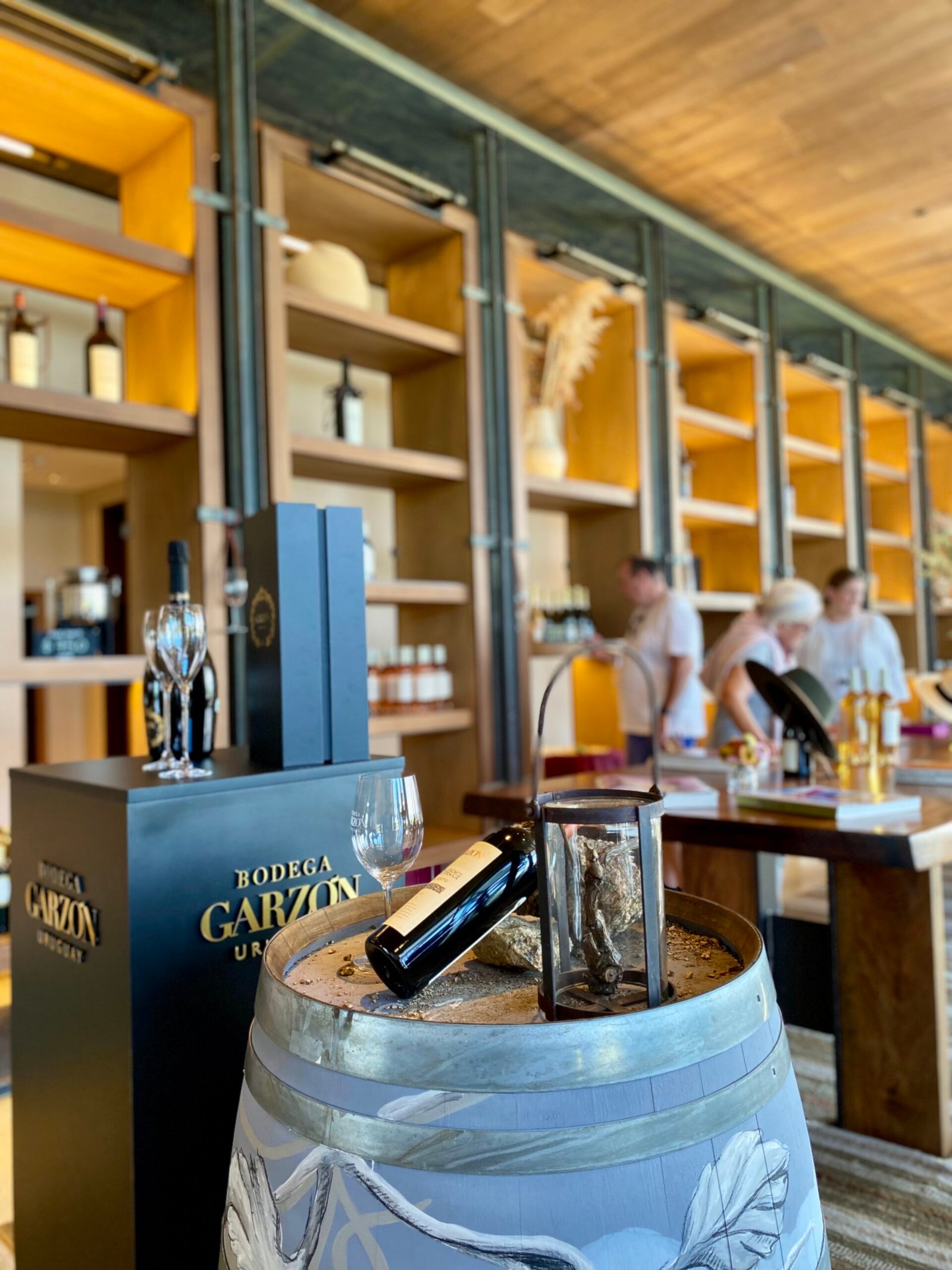 Garzón by WS