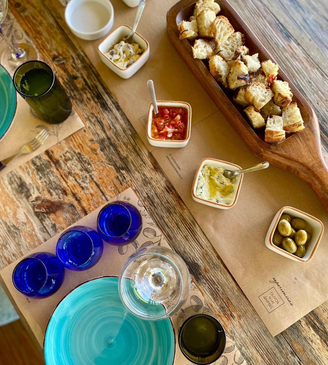 Olivícola + Passeio em Colônia