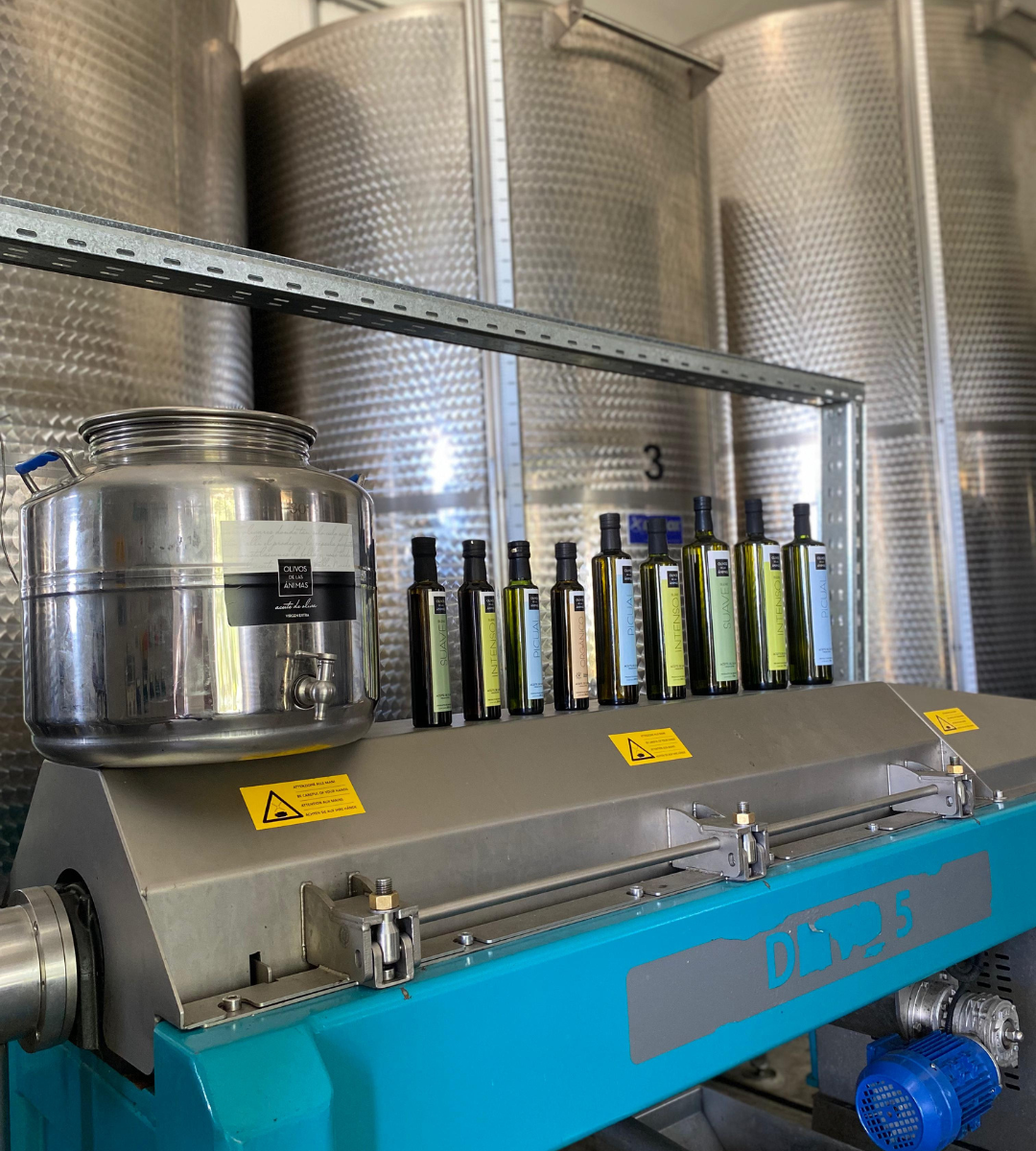 Olivícola + Passeio em Colônia - Imagem 6