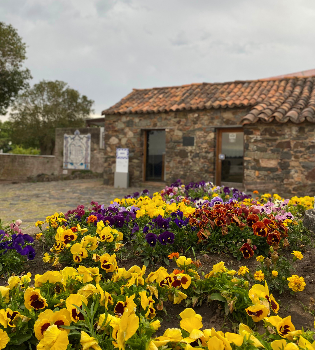 colonia del sacramento uruguai