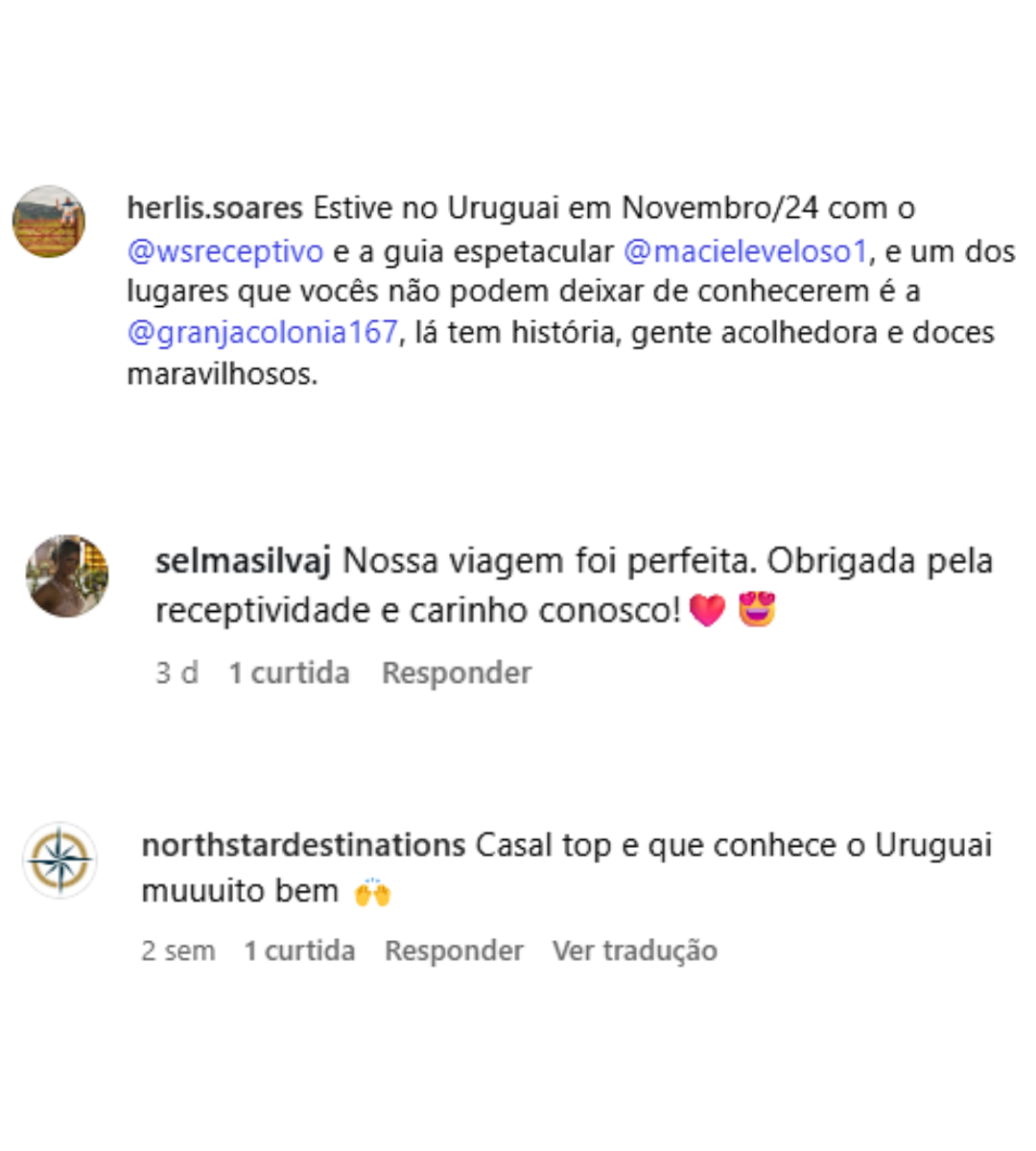 imagens site ws (16)