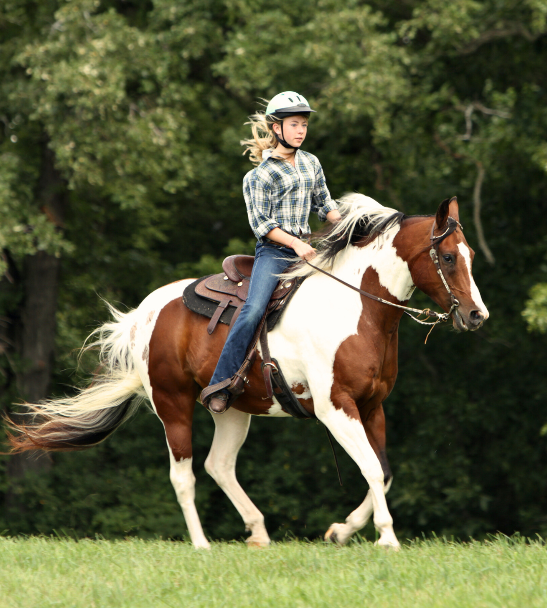 Dia de Campo Completo