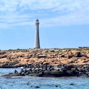 Ilha dos Lobos & Ilha Gorriti