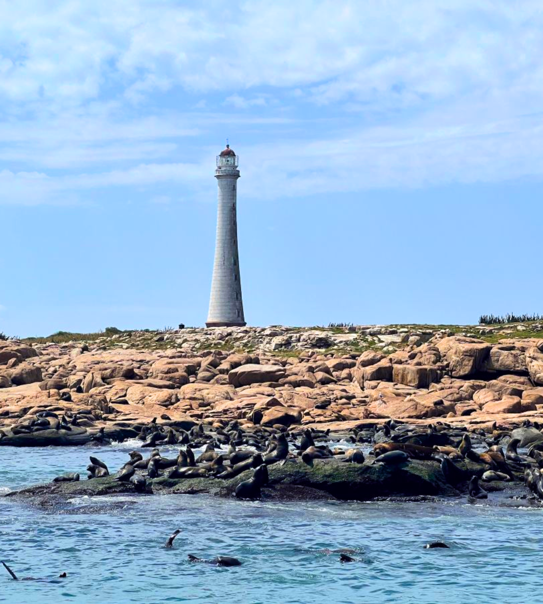 Ilha dos Lobos & Ilha Gorriti
